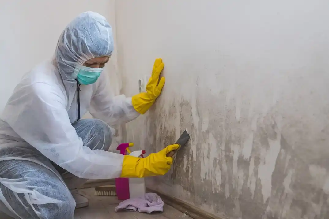 water damage restoration service Friendship